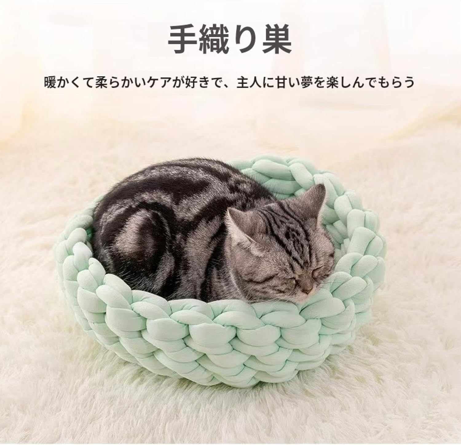 解良雅三七「實觀戶大皿」 大雅斋”款绿地粉彩花鸟纹高足盘- 故宫博物院